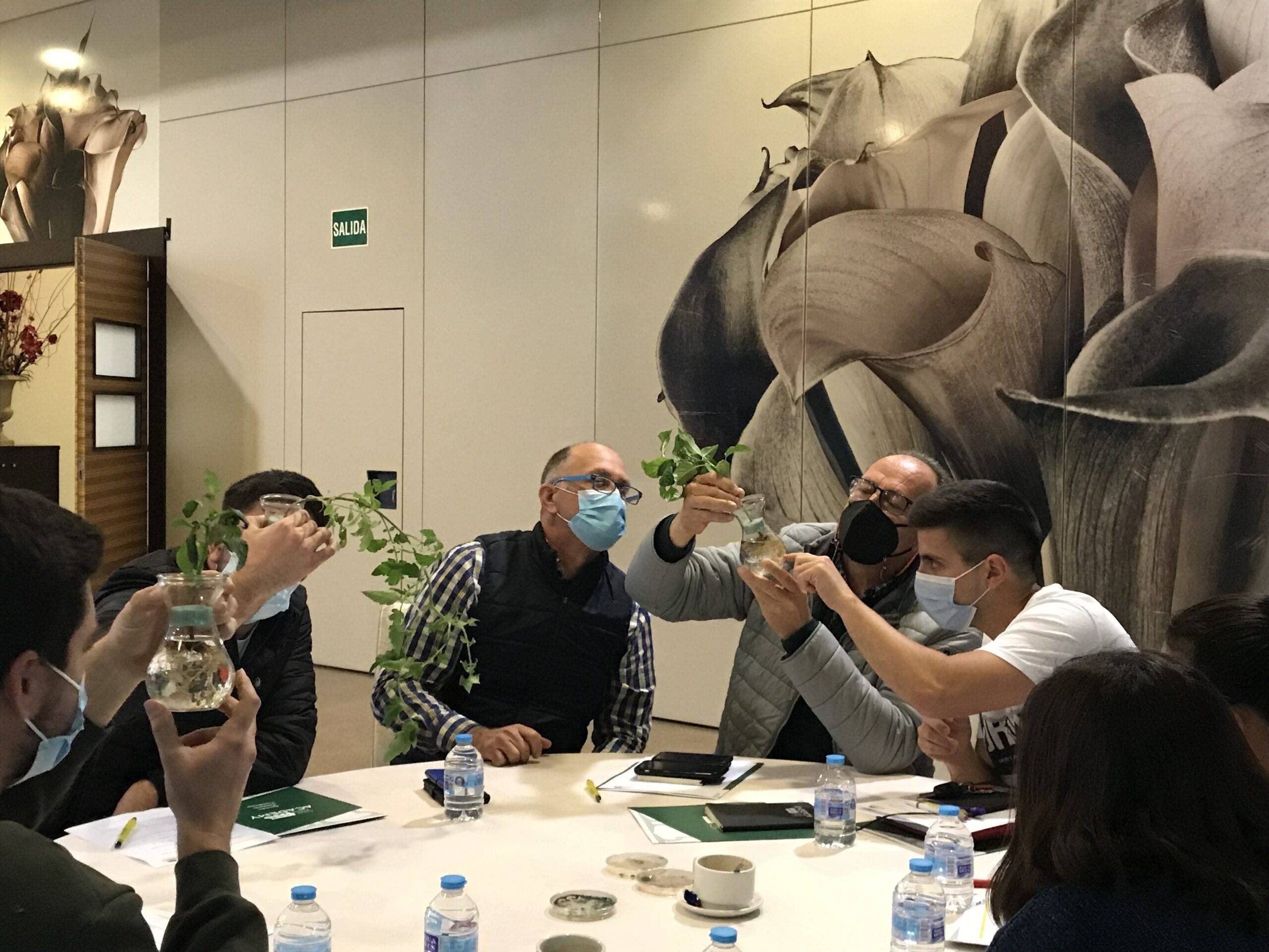 semillas-fito-jornadas-patogenos|semillas-fito-jornadas-patogenos